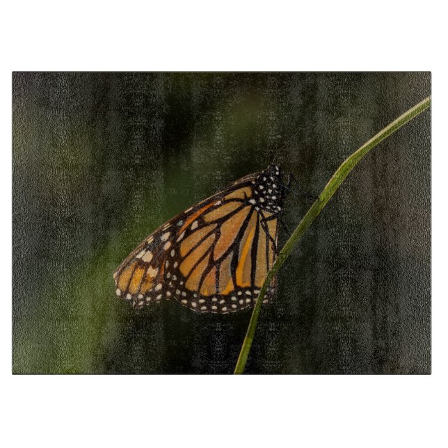 Monarch belyst (Framsidan)