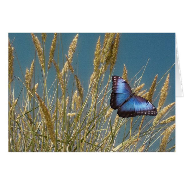 Monarch Blue Butterfly on Grain Hälsningskort (Framsidan Horizontal)
