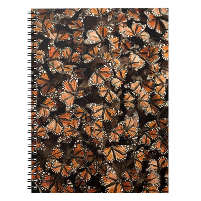 Monarch Butterflies Anteckningsbok (Framsidan)