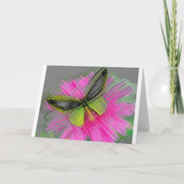 Monarch Butterflies Kort