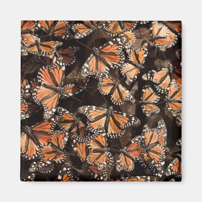 Monarch Butterflies Magnet (Framsidan)