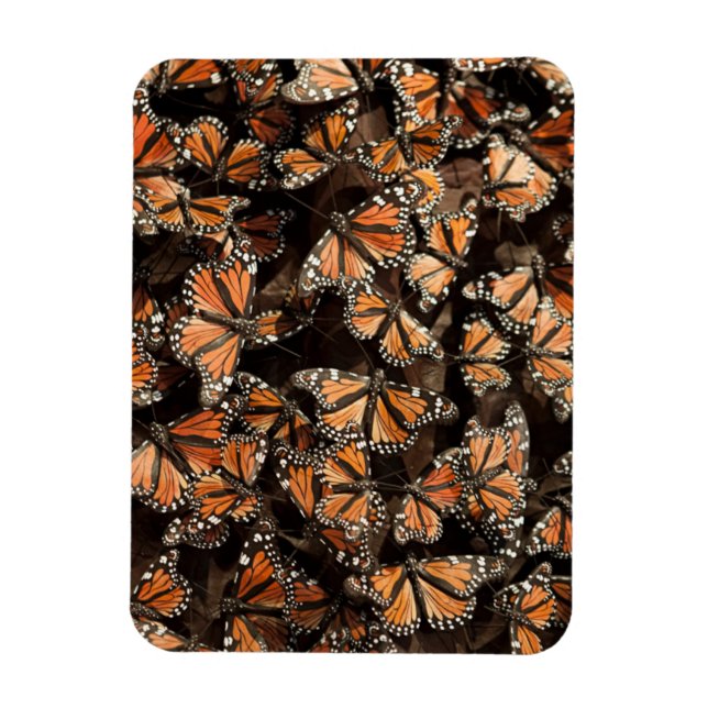 Monarch Butterflies Magnet (Vertikal)
