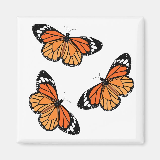 Monarch Butterflies Magnets Magnet (Framsidan)