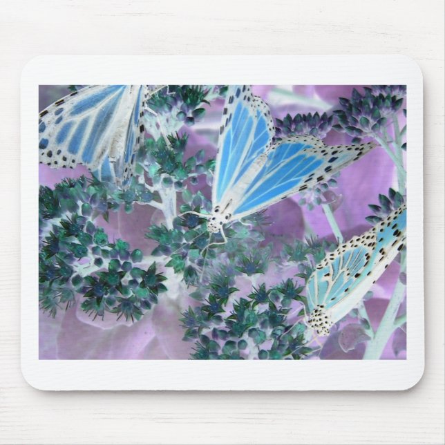 Monarch Butterflies Musmatta (Framsidan)