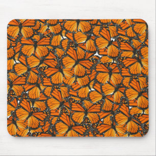 Monarch Butterflies Musmatta