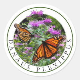 Monarch Butterflies och Bee Balm Monarda Runt Klistermärke