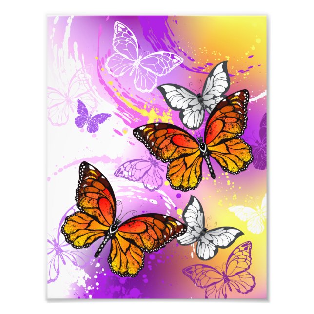 Monarch Butterflies on Lila Background Fototryck (Framsidan)