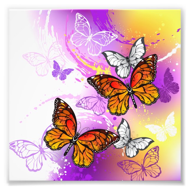 Monarch Butterflies on Lila Background Fototryck (Framsidan)