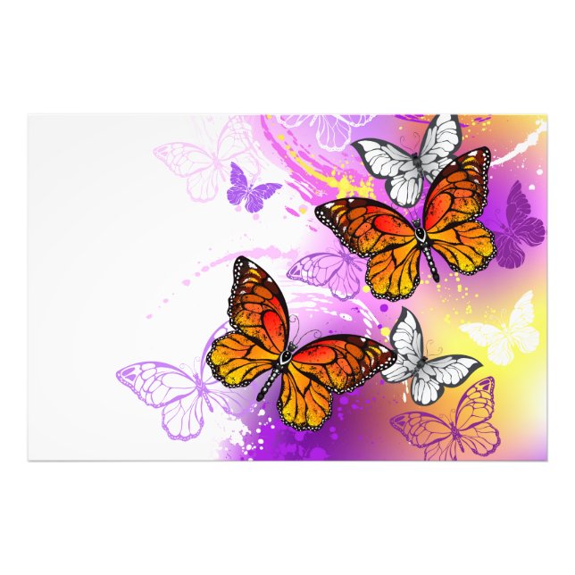 Monarch Butterflies on Lila Background Fototryck (Framsidan)