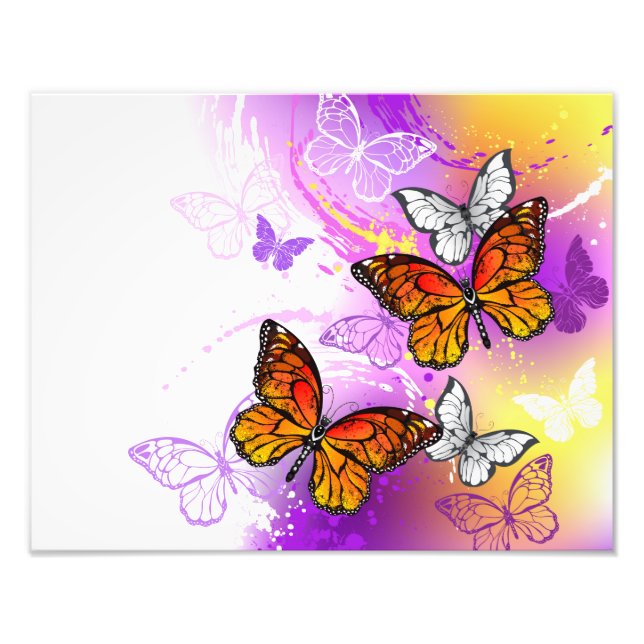 Monarch Butterflies on Lila Background Fototryck (Framsidan)
