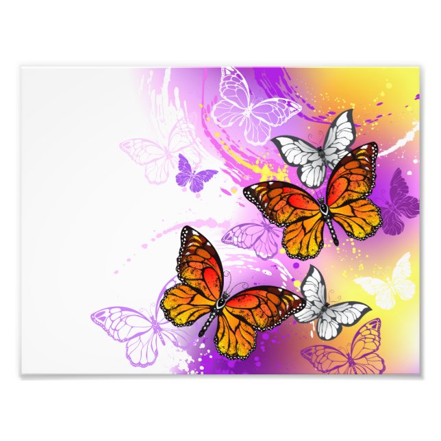 Monarch Butterflies on Lila Background Fototryck (Framsidan)