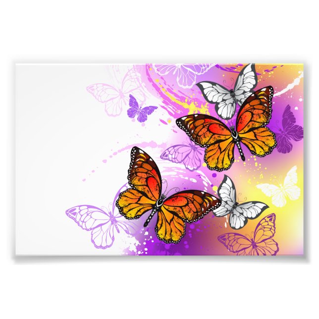 Monarch Butterflies on Lila Background Fototryck (Framsidan)