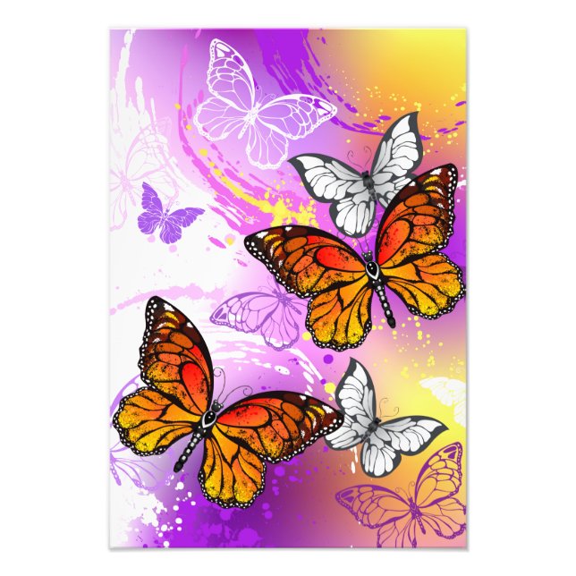 Monarch Butterflies on Lila Background Fototryck (Framsidan)