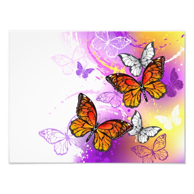 Monarch Butterflies on Purple Background Fototryck (Framsidan)