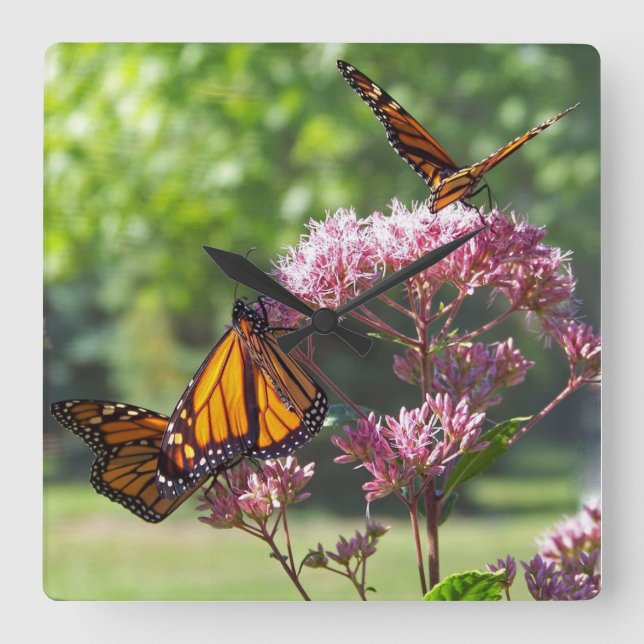 Monarch Butterflies på Lila blommor Wall Clock Fyrkantig Klocka (Framsida)