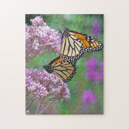 Monarch butterflies på mjölkgräs pussel