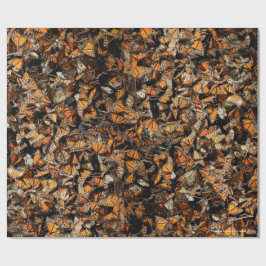 Monarch butterflies presentpapper