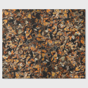 Monarch butterflies presentpapper