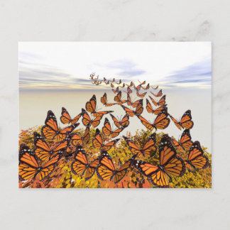 Monarch Butterflies Samling Vykort