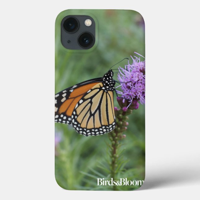 Monarch Butterfly (Baksida)