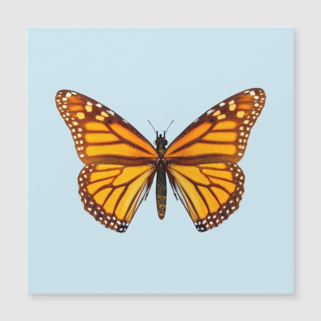 Monarch Butterfly (Framsida)