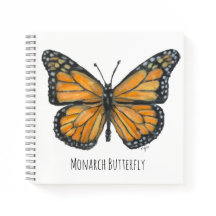 Monarch Butterfly 