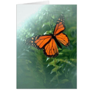 Monarch Butterfly (2) Hälsningskort