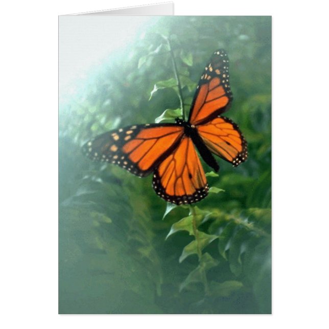 Monarch Butterfly (2) Hälsningskort (Framsidan)