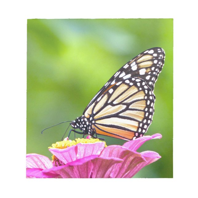 Monarch Butterfly Anteckningsblock (Framsida)