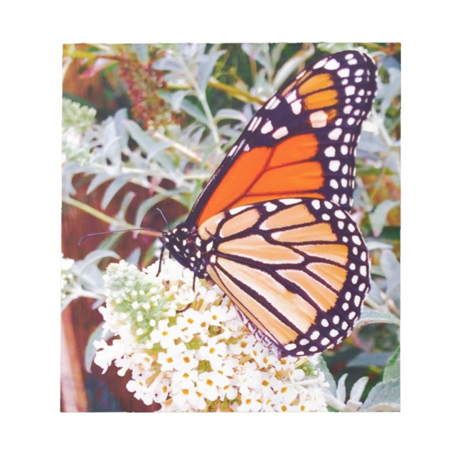 Monarch Butterfly Anteckningsblock (Framsida)