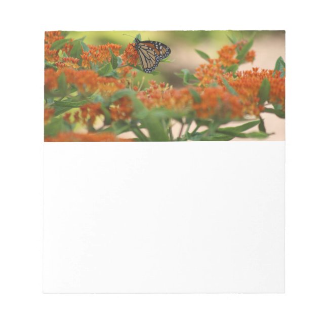 Monarch Butterfly anteckningsblock (Framsida)