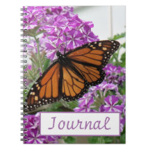 Monarch Butterfly