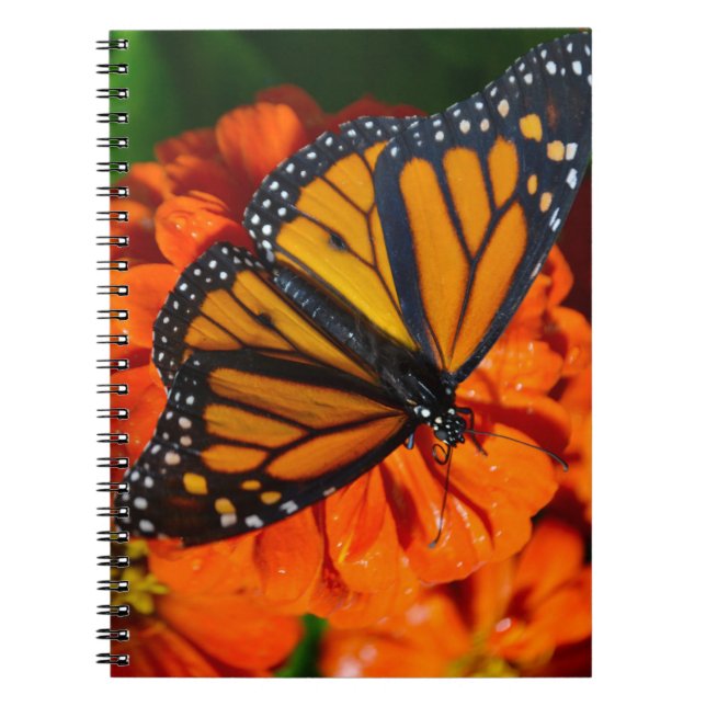 Monarch Butterfly Anteckningsbok Med Spiral (Framsidan)