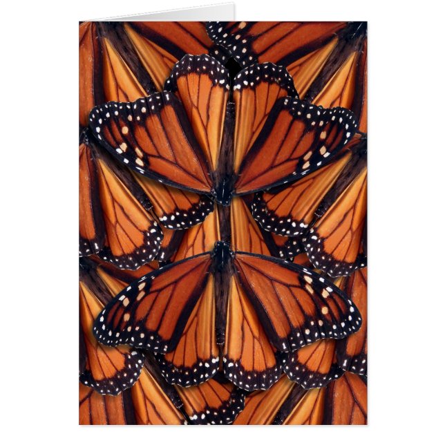 Monarch butterfly art hälsningskort (Framsidan)
