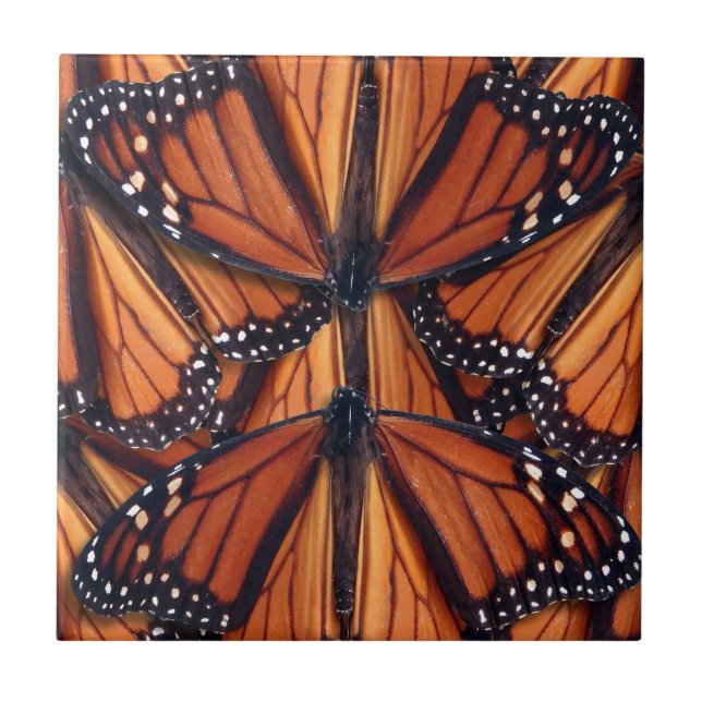 Monarch butterfly art kakelplatta (Framsidan)