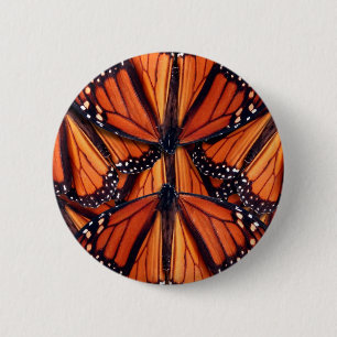 Monarch butterfly art knapp