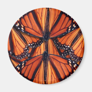 Monarch butterfly art magnet