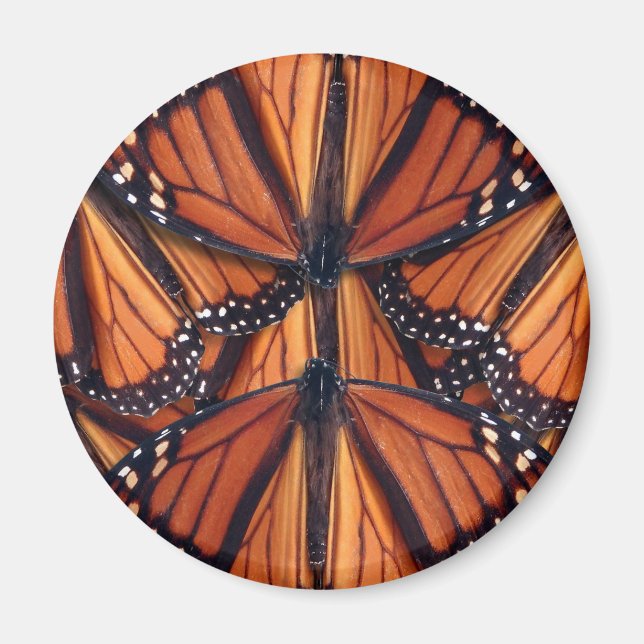 Monarch butterfly art magnet (Framsidan)