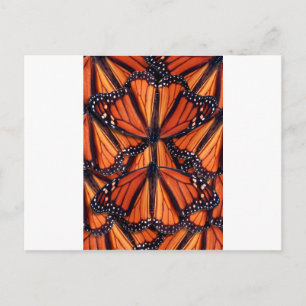 Monarch butterfly art vykort