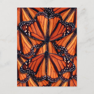 monarch butterfly art-vykort vykort
