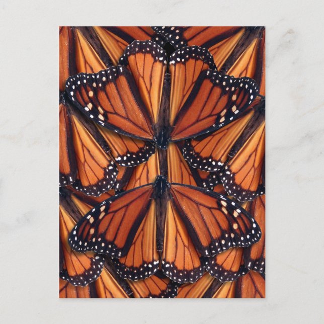 monarch butterfly art-vykort vykort (Framsida)