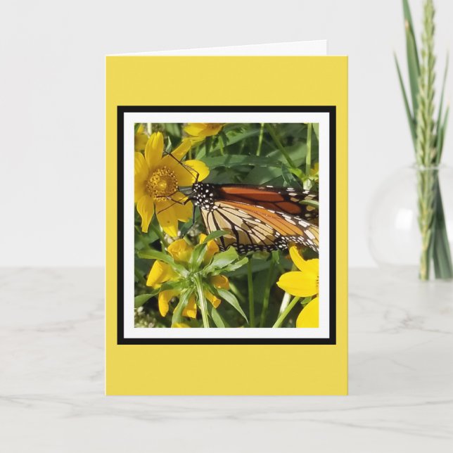 MONARCH BUTTERFLY - BIRTHDAY CARD KORT (Framsida)
