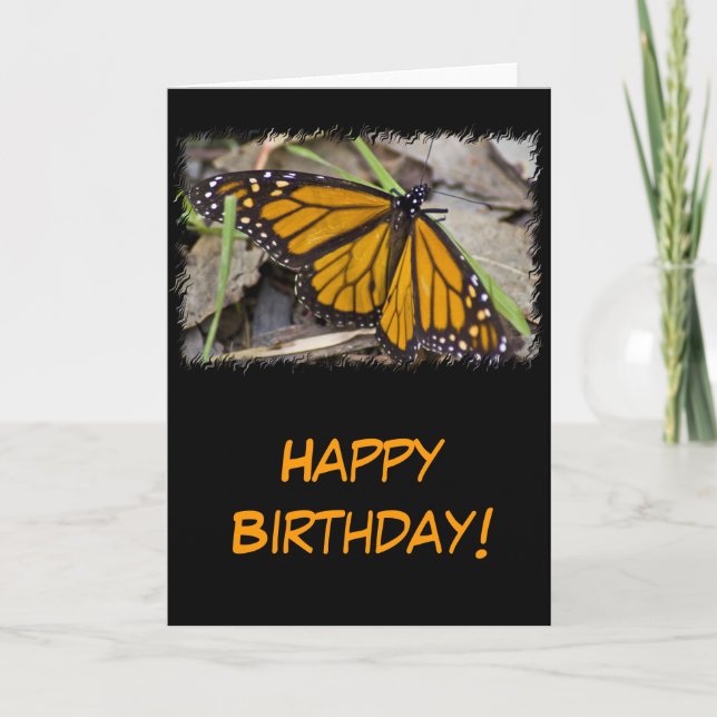 Monarch Butterfly Birthday Kort (Framsida)