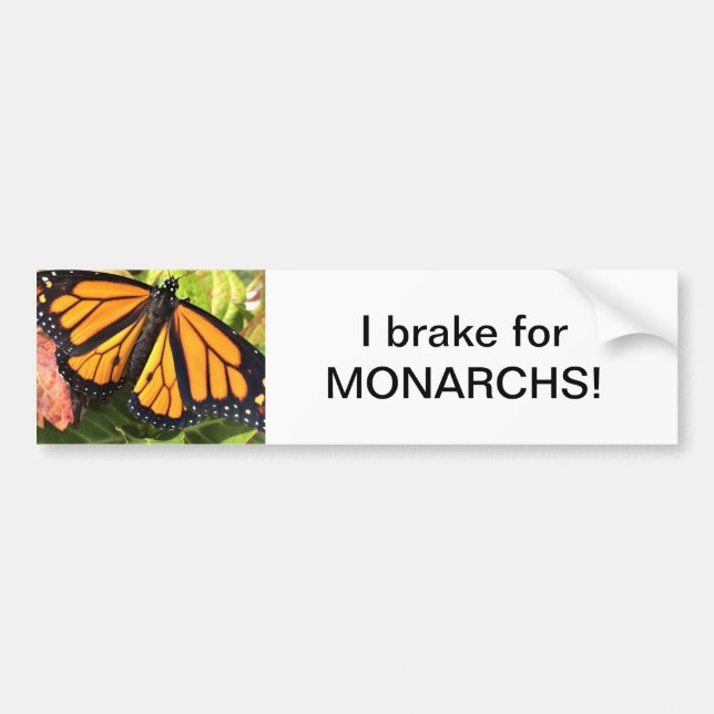 Monarch Butterfly - Bumper Sticker Bildekal (Framsidan)