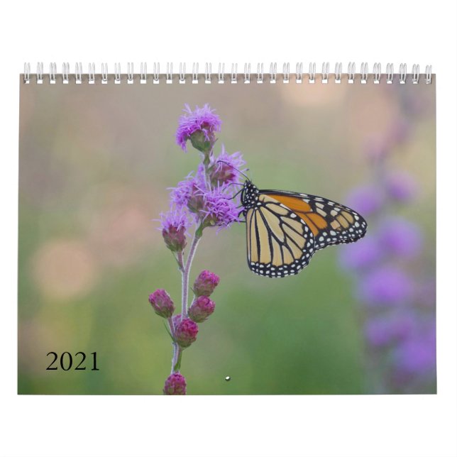 Monarch Butterfly Calendar Kalender (Omslag)