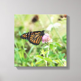 Monarch Butterfly Canvastryck
