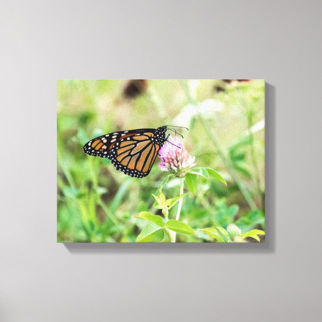 Monarch Butterfly Canvastryck (Framsida)