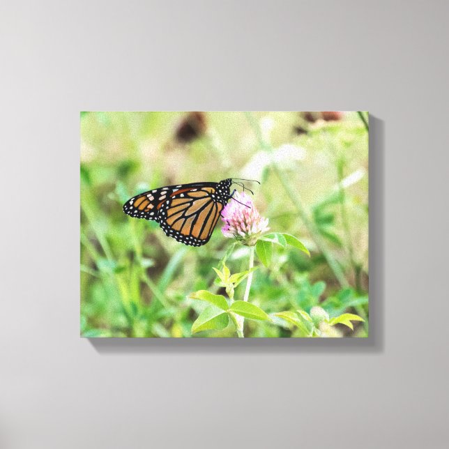 Monarch Butterfly Canvastryck (Framsida)