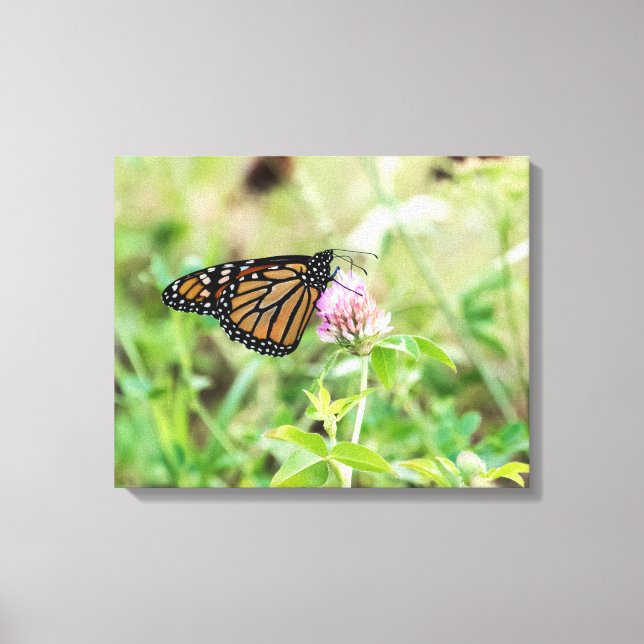 Monarch Butterfly Canvastryck (Framsida)
