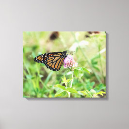 Monarch Butterfly Canvastryck